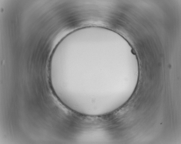 X0000088841056200707051443