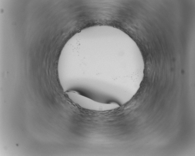 X0000088841057200707051442