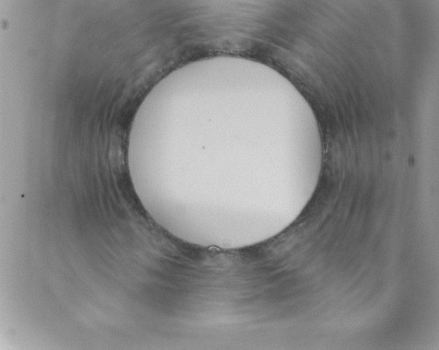 X0000088841058200707051442