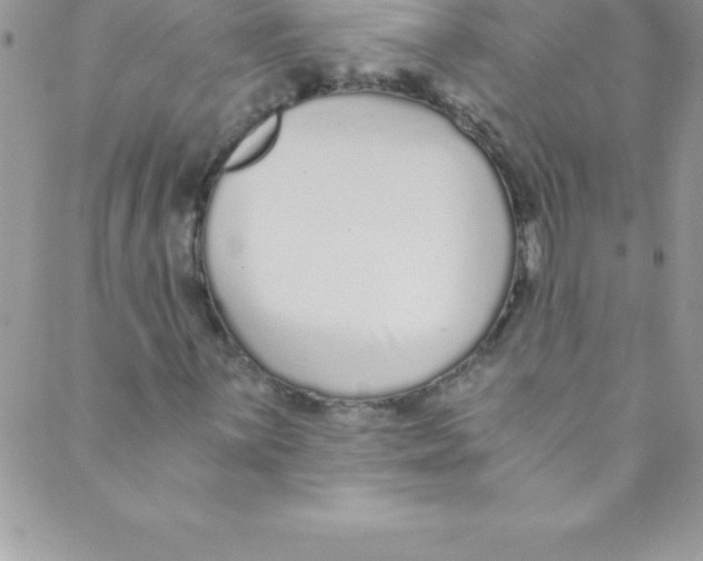 X0000088841059200707051442