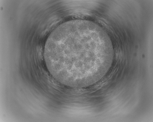 X0000088841060200707051442