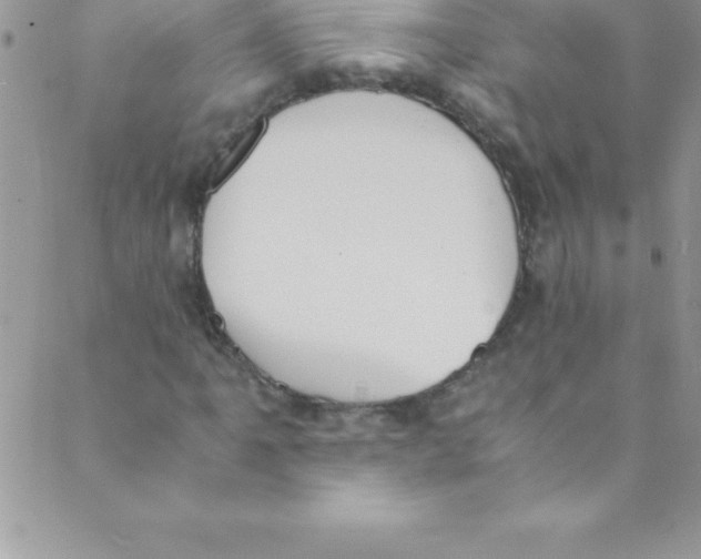 X0000088841061200707051442