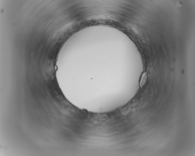 X0000088841062200707051442