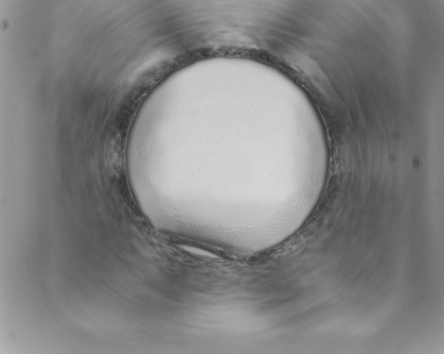 X0000088841063200707051442