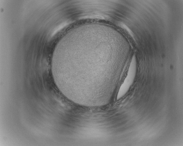 X0000088841064200707051442