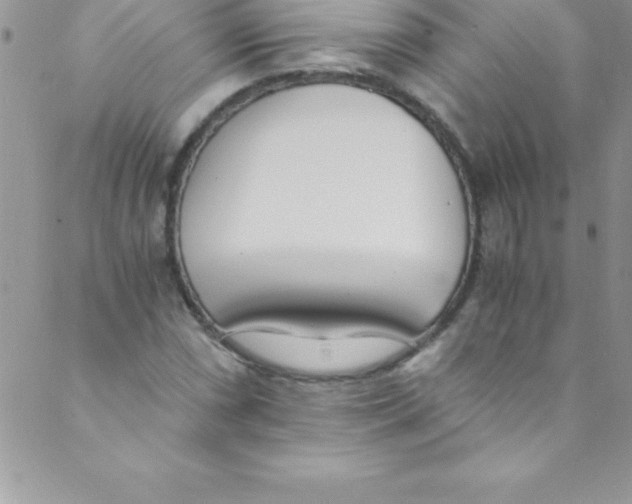 X0000088841066200707051442