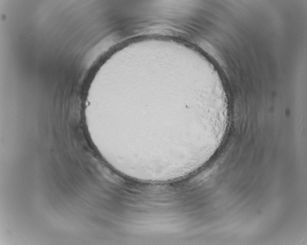 X0000088841067200707051442