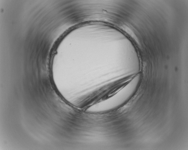 X0000088841068200707051442