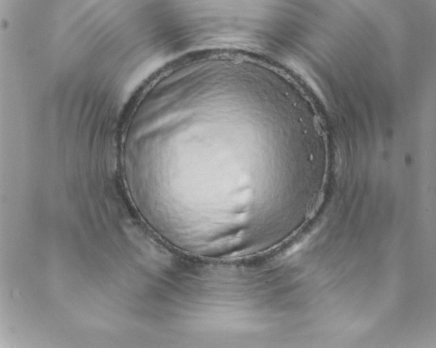 X0000088841069200707051442