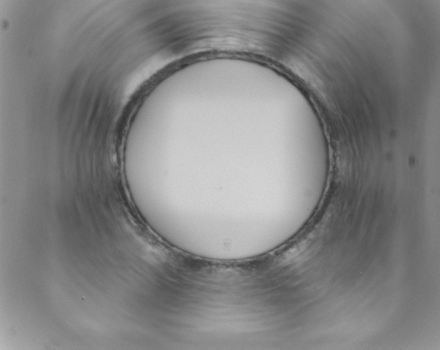 X0000088841070200707051442