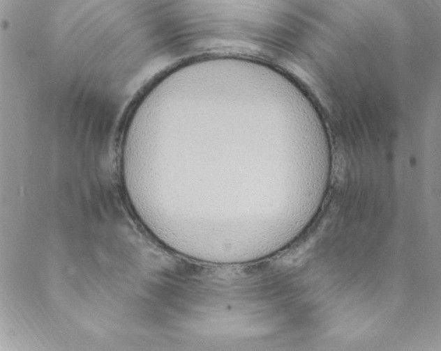 X0000088841074200707051442