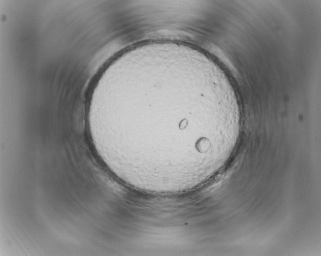 X0000088841075200707051442