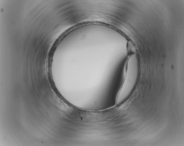 X0000088841076200707051442