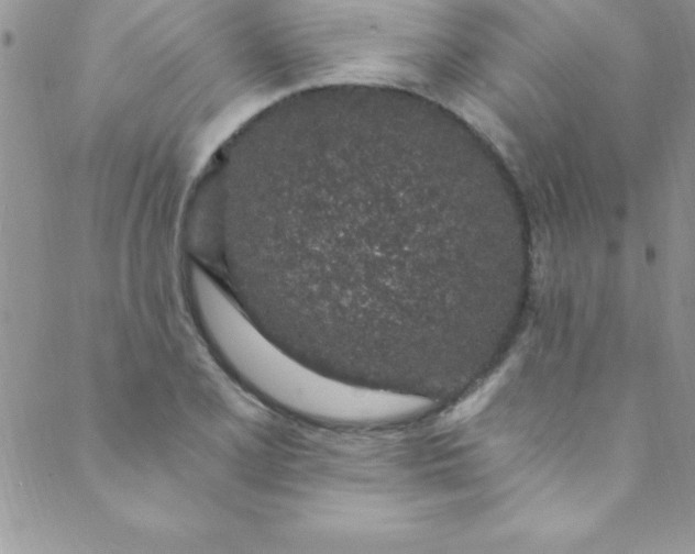 X0000088841077200707051442