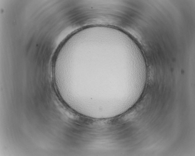 X0000088841078200707051442