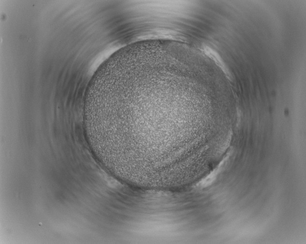 X0000088841081200707051441