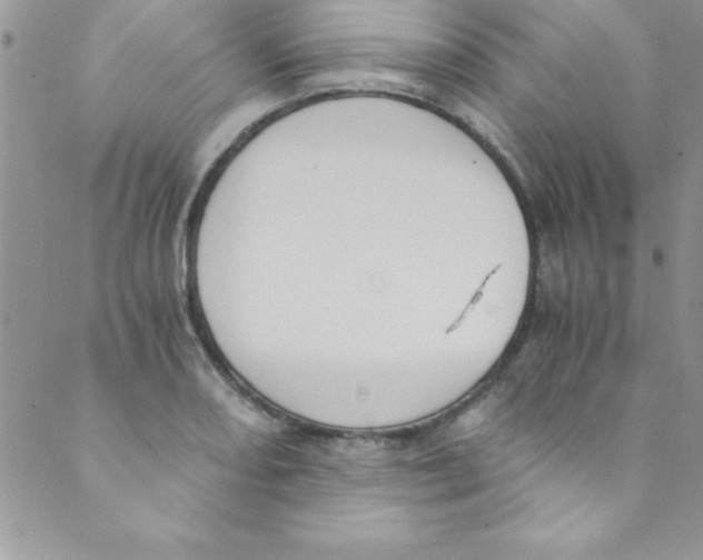 X0000088841082200707051441