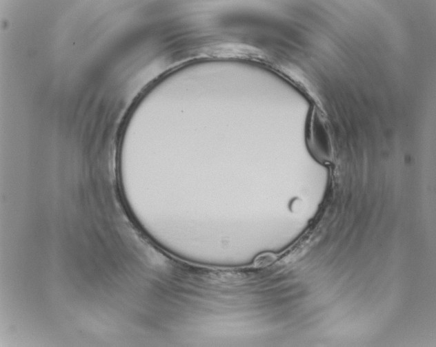 X0000088841083200707051441