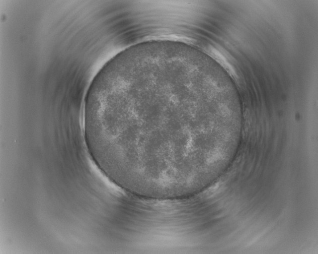 X0000088841084200707051441