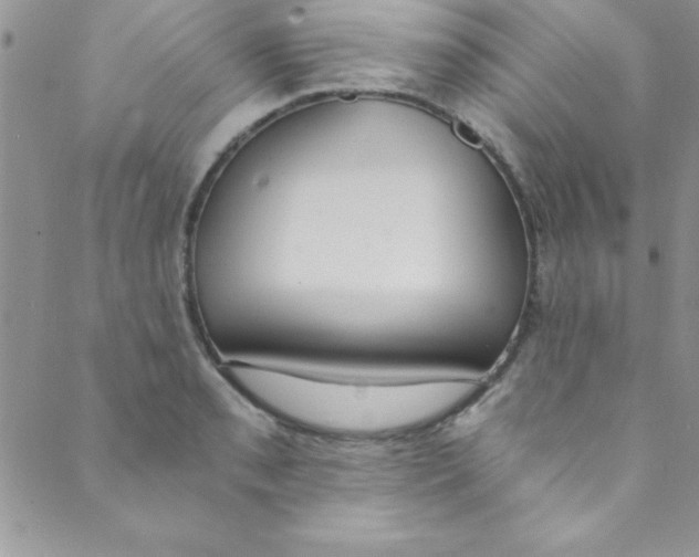 X0000088841085200707051441