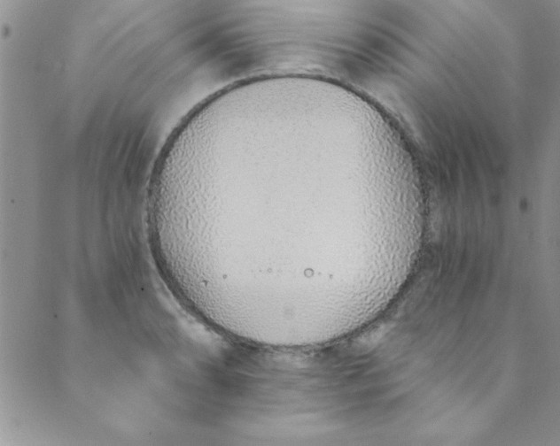 X0000088841086200707051441