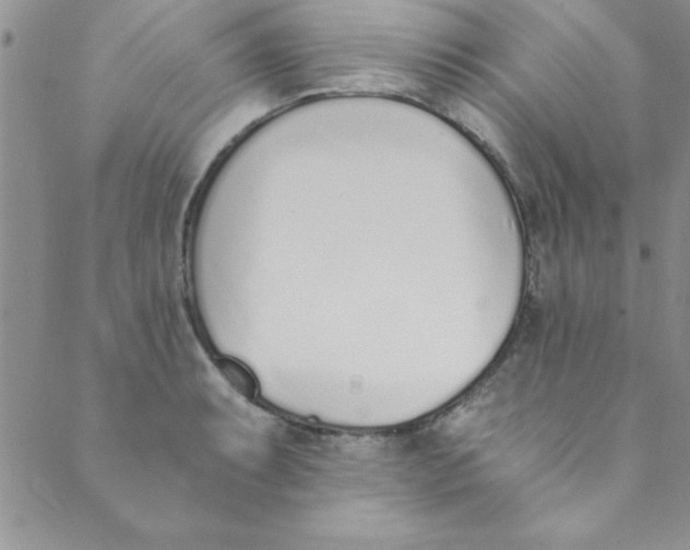 X0000088841087200707051441