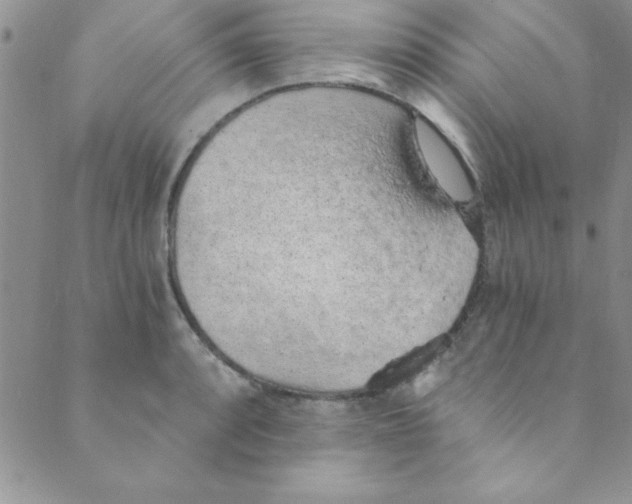 X0000088841088200707051441