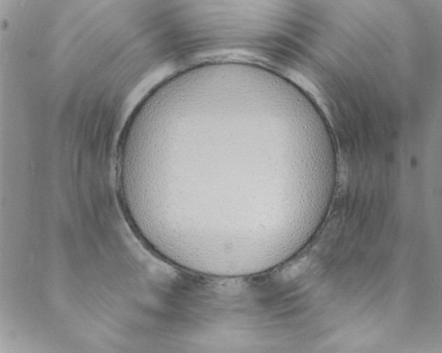 X0000088841090200707051441