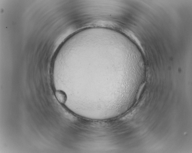 X0000088841091200707051441