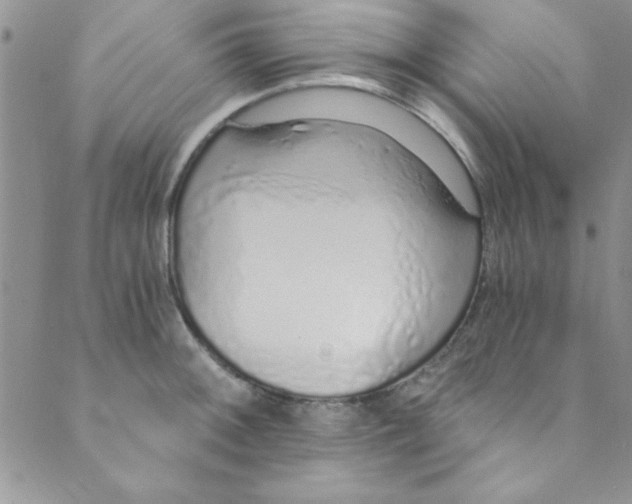 X0000088841092200707051441