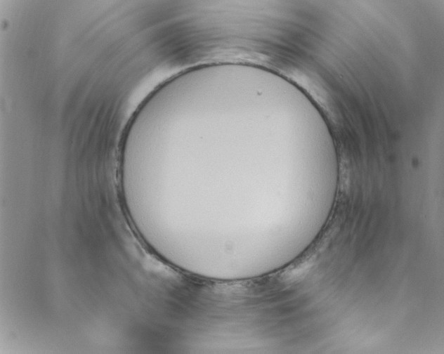 X0000088841094200707051441