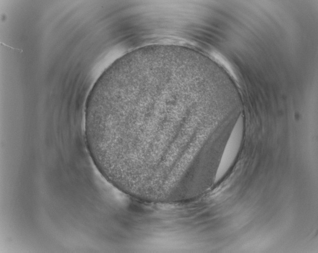 X0000088841095200707051441