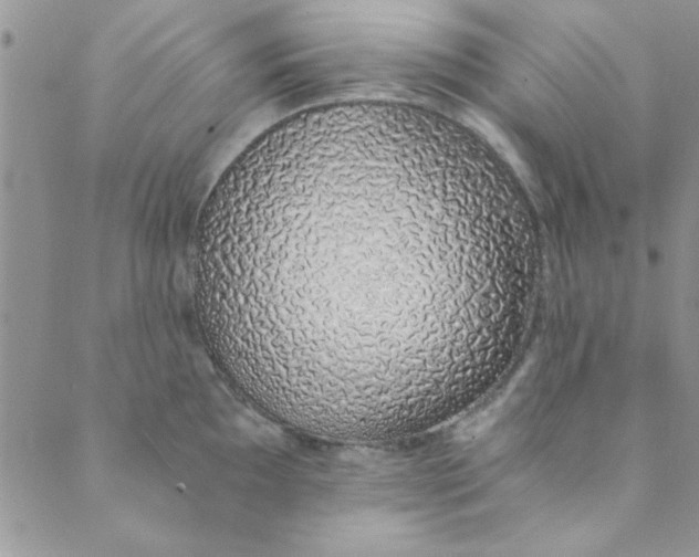 X0000088841097200707051441