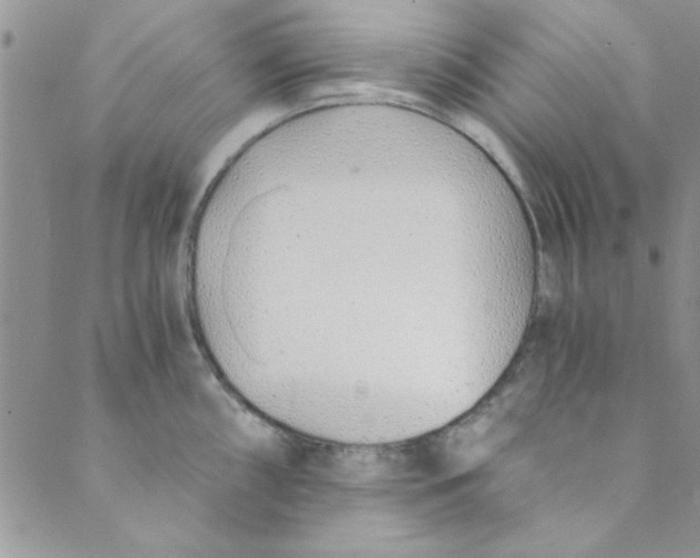 X0000088841098200707051441