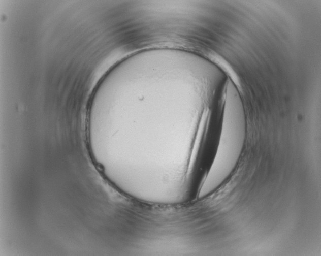 X0000088841099200707051441