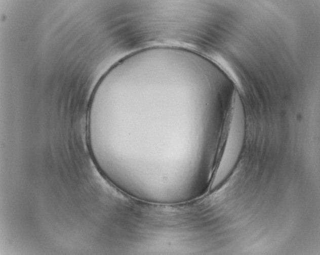 X0000088841100200707051441