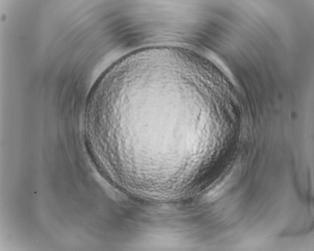 X0000088841101200707051441