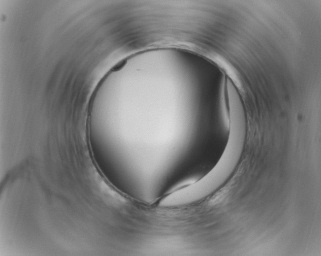 X0000088841102200707051441