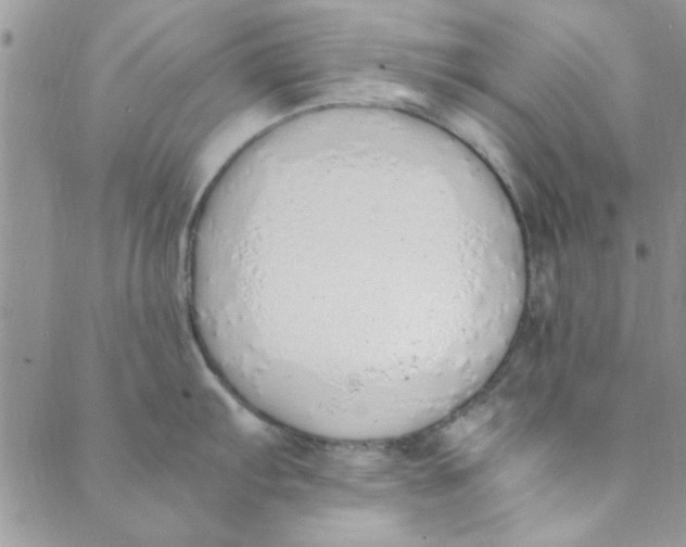 X0000088841103200707051441