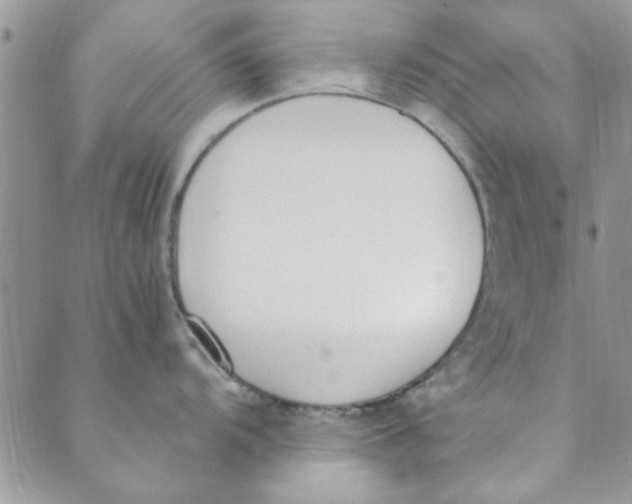 X0000088841104200707051441