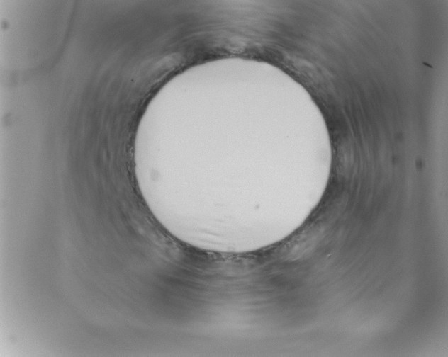 X0000088841105200707051440