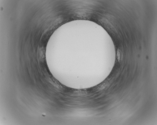 X0000088841107200707051440