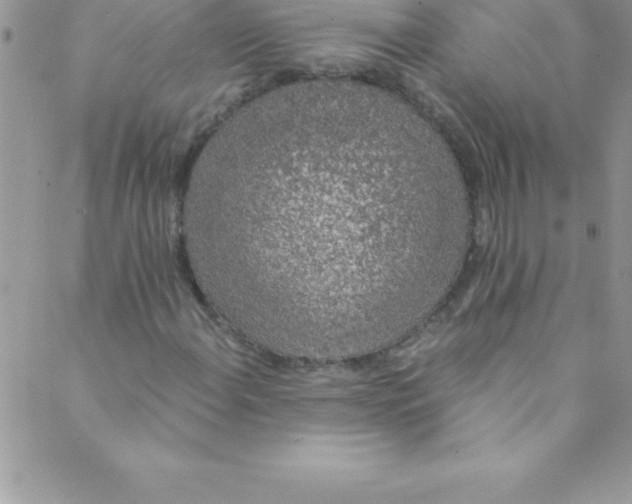 X0000088841108200707051440