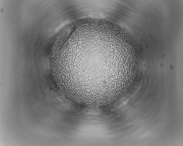 X0000088841110200707051440