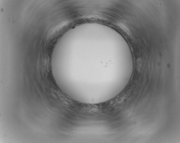 X0000088841111200707051440