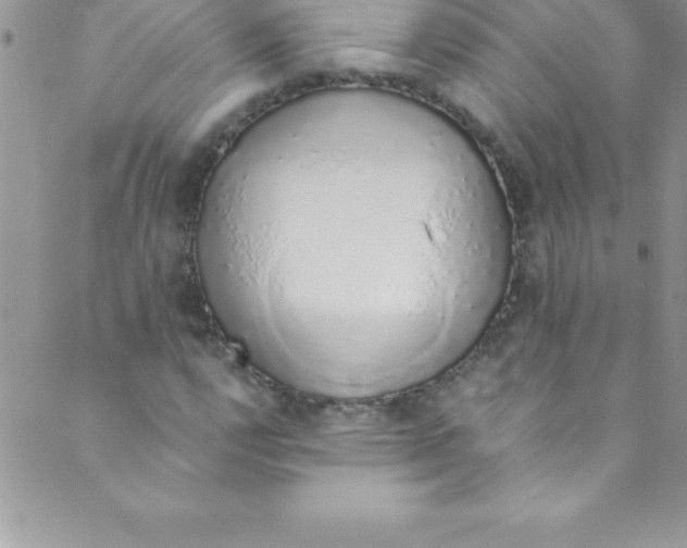 X0000088841112200707051440