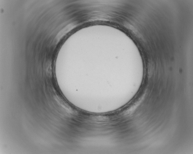 X0000088841113200707051440