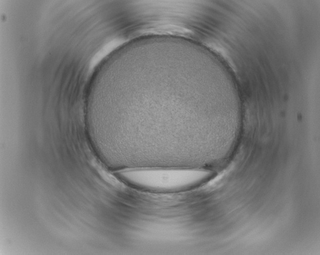 X0000088841114200707051440