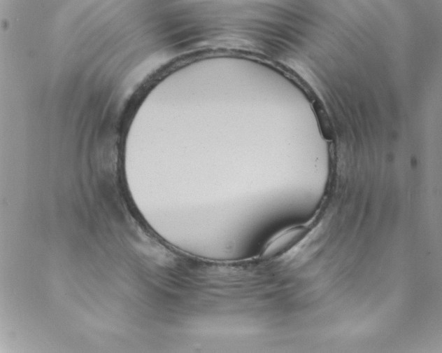 X0000088841115200707051441