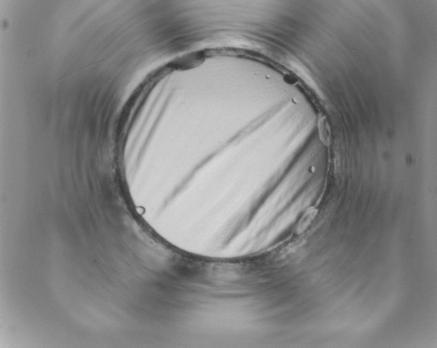 X0000088841116200707051441